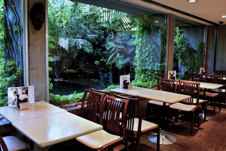 ボタニカルカフェの景観