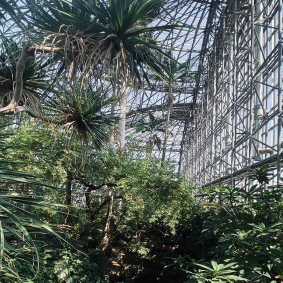 温室の風景